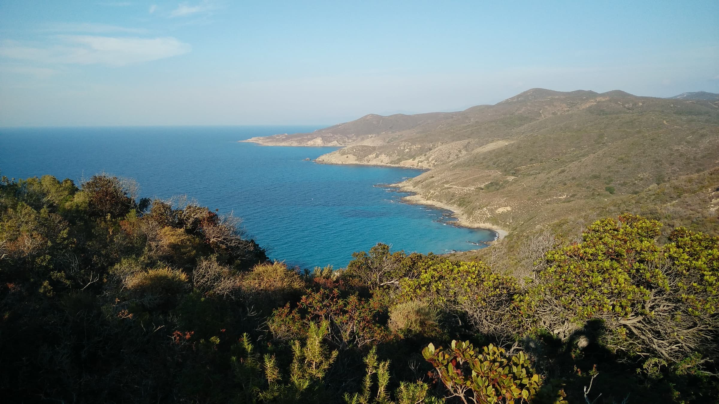 A turquoise bay seen from a maquis-covered ridge
