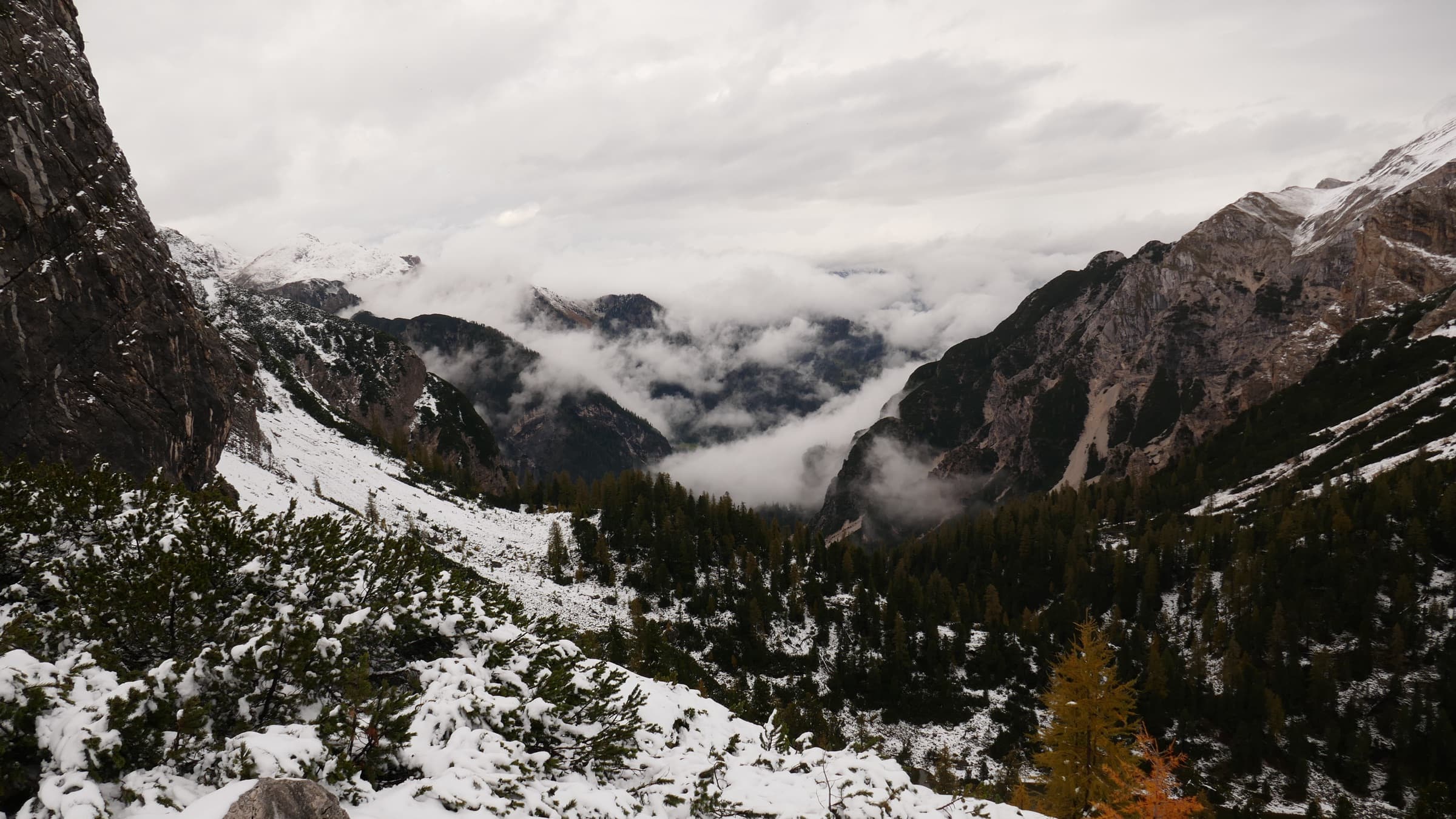 A snowy valley of larches under low cloud