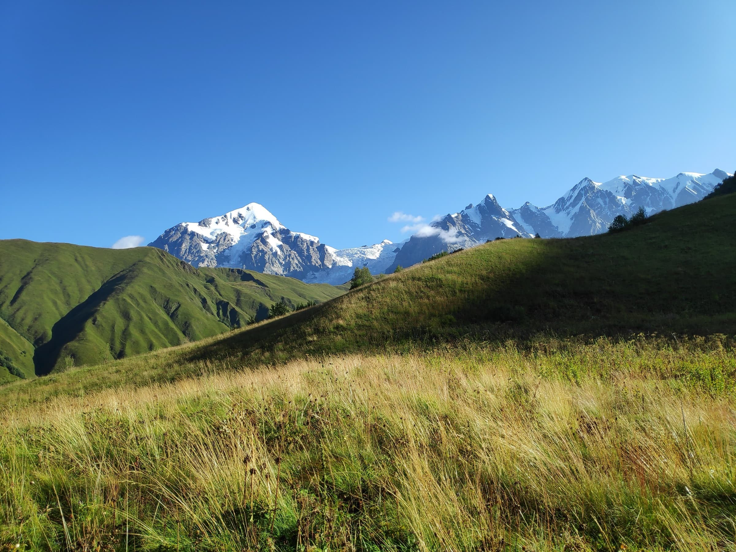 Grassy hills in evening light with snow-capped peaks behind
