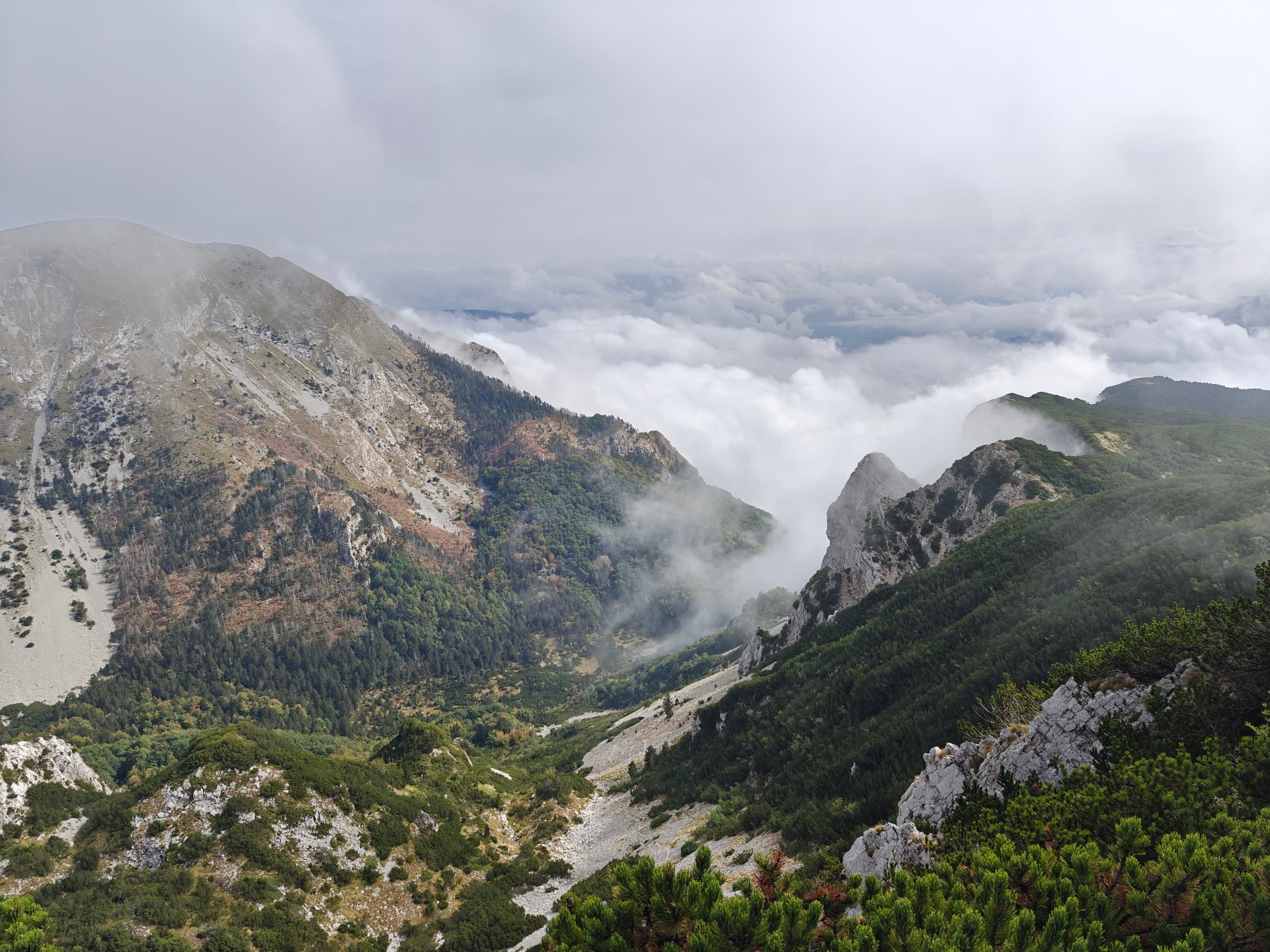 Cloud pouring over forested ridges into a mountain valley