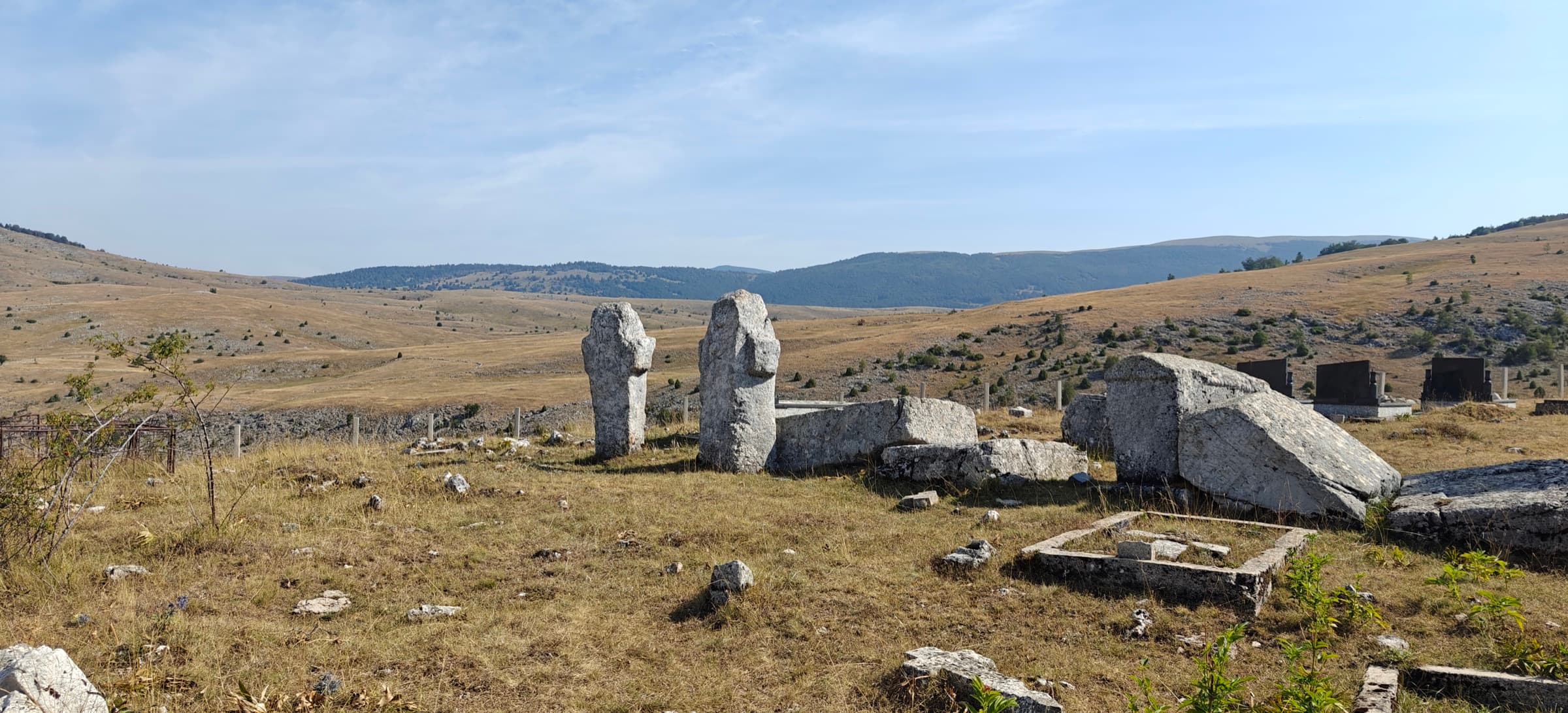 Weathered standing stones on a grassy plateau