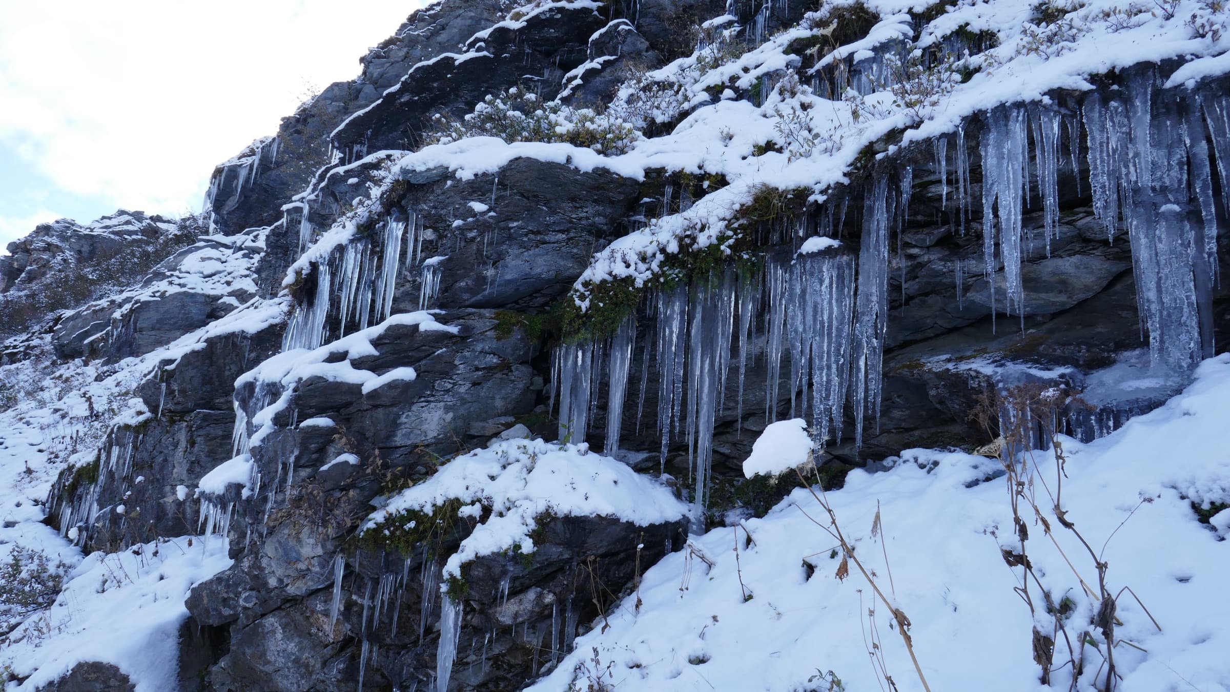 A wall of blue ice hung with icicles