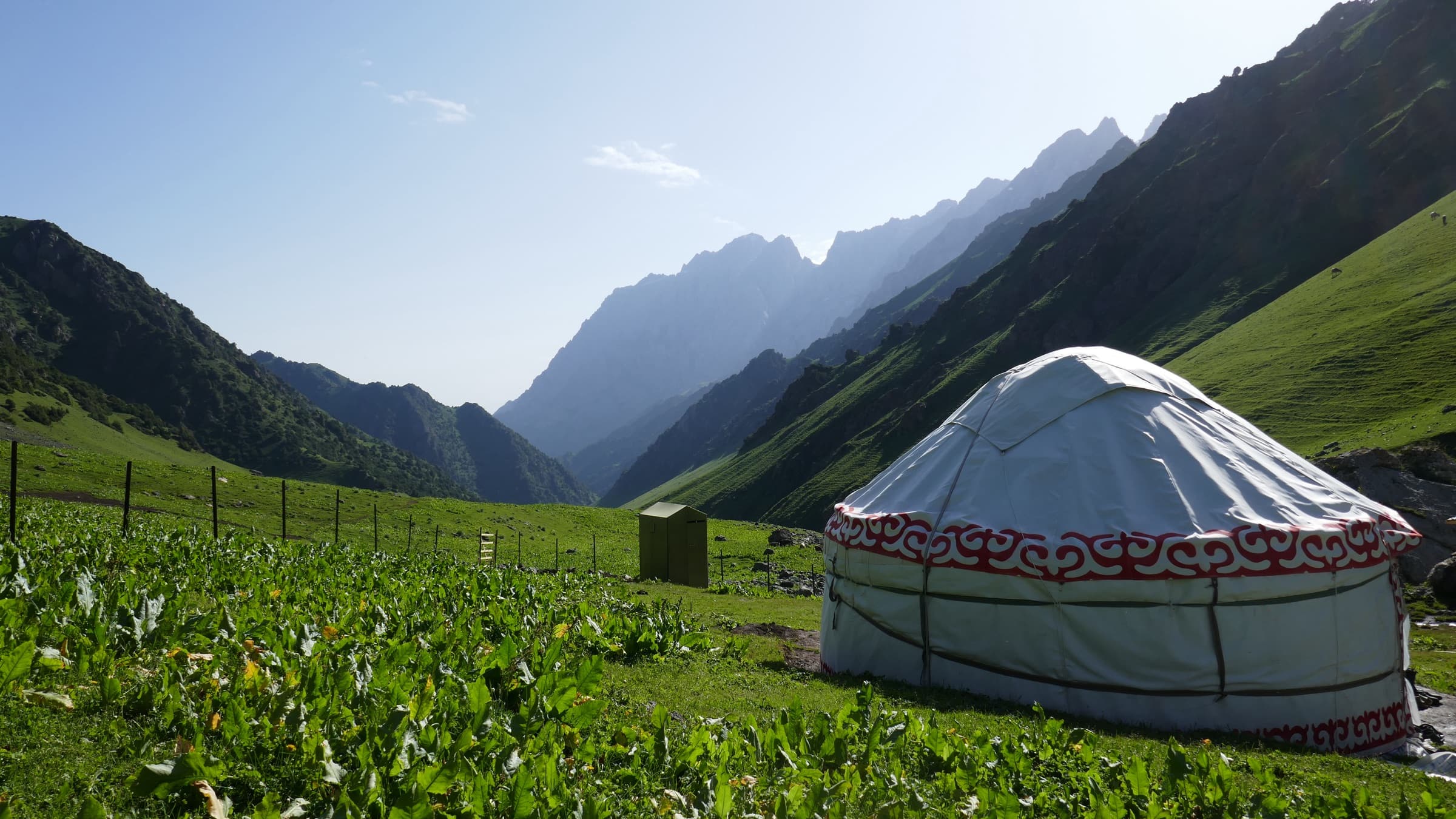 A white yurt pitched on a lush green pasture below high peaks