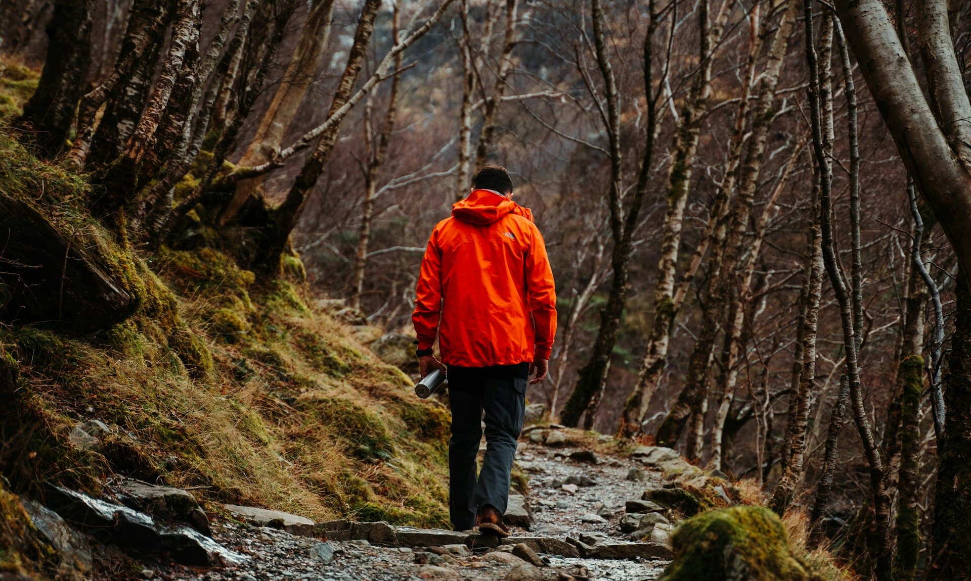 Hiker in an orange 5000mm waterproof jacket walking a wet rocky forest trail