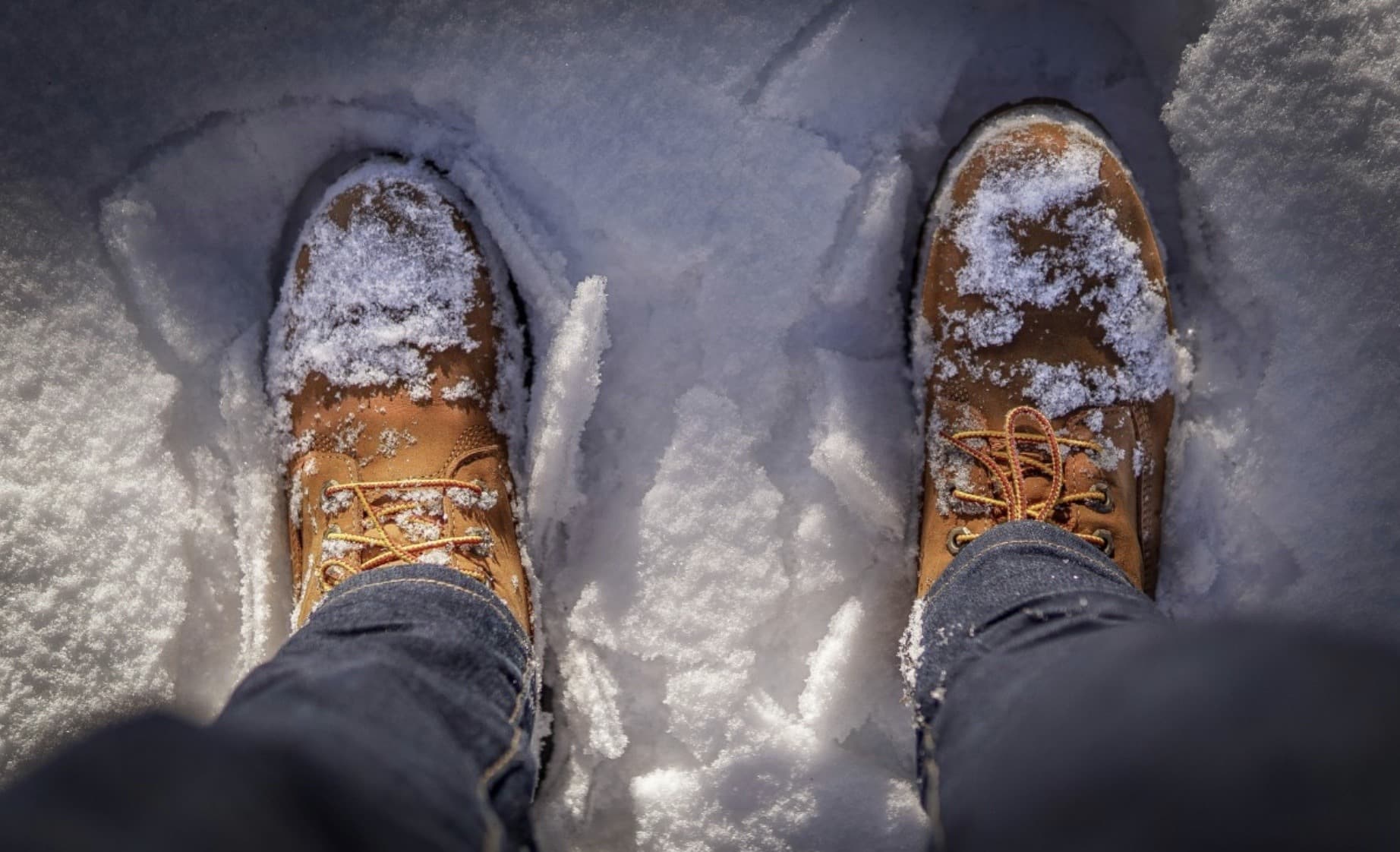 Are Timberlands Good for Hiking? An Honest Trail Verdict