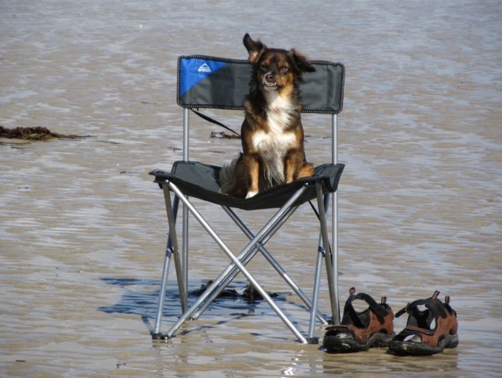 8 Best Cheap Camping Chairs (Tested and Ranked)