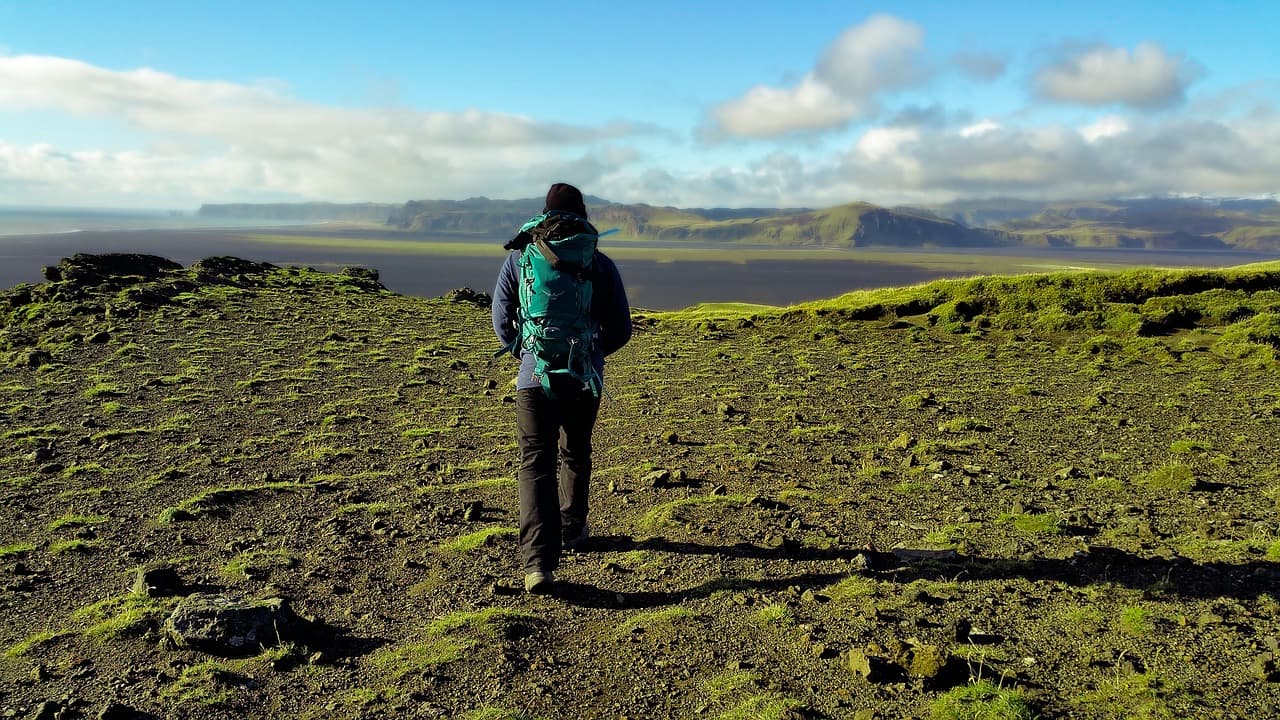 Best Comfortable Hiking Shoes for All-Day Trail Use
