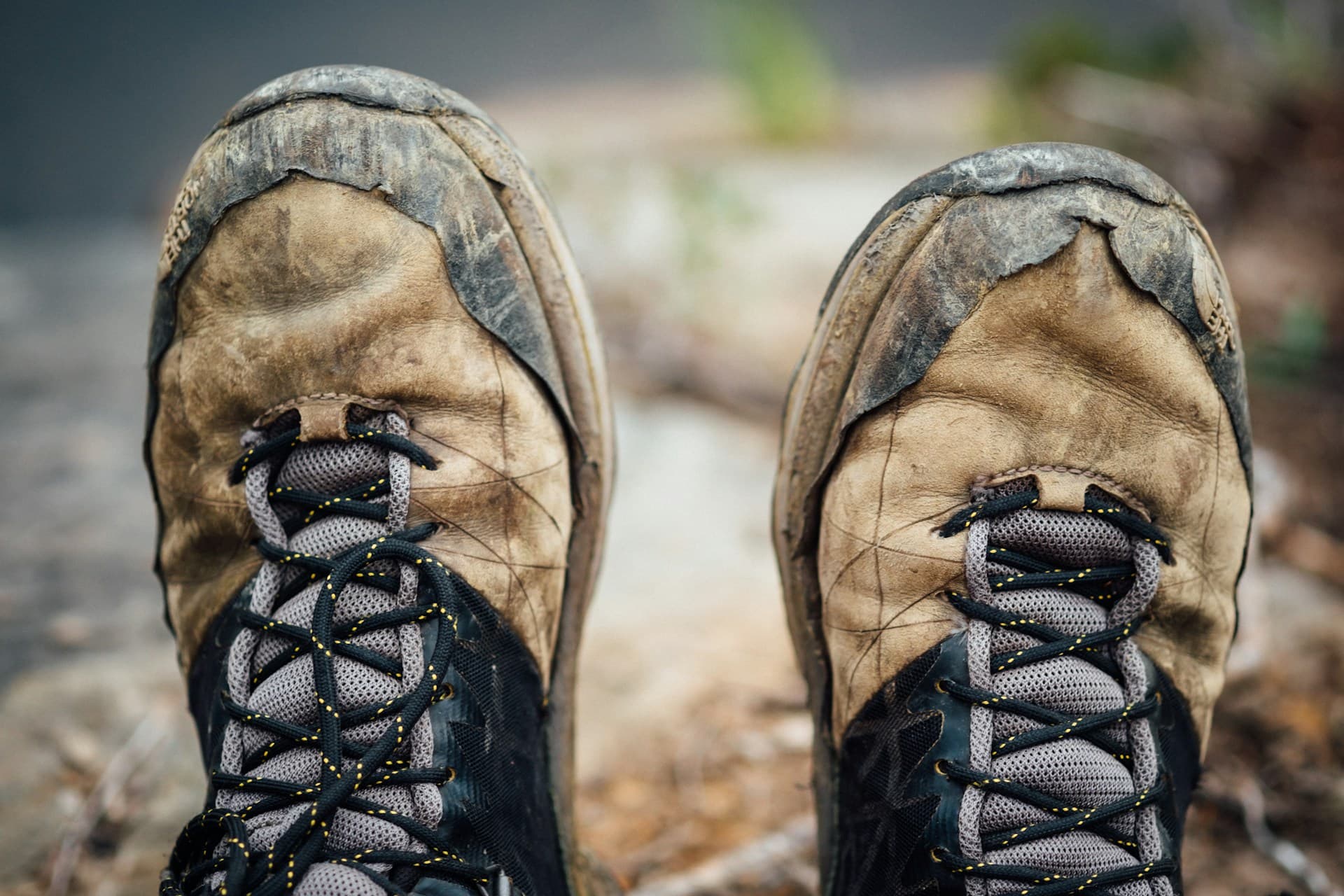 Keen vs Merrell: Which Hiking Shoe Brand Is Better?