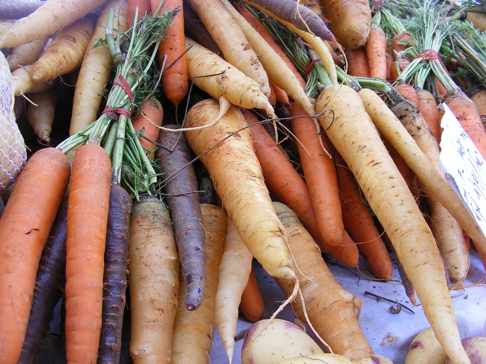 Eat Carrots Fruits Eating Roots Veggies