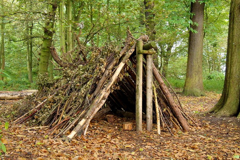 tent alternative: leaf hut